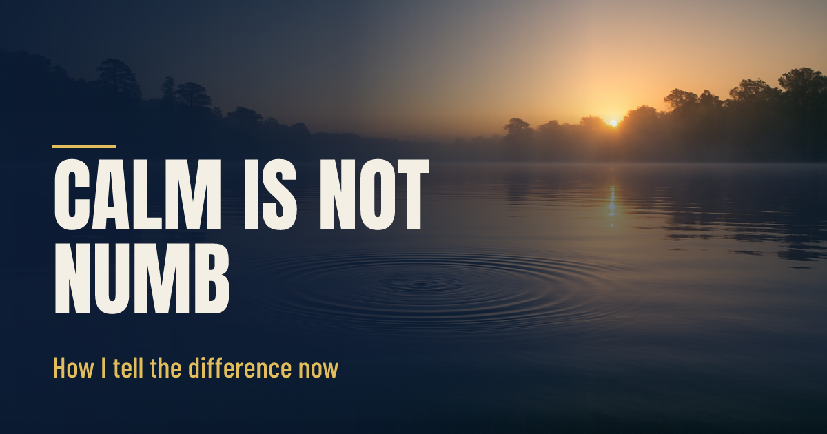 Calm Is Not the Same Thing as Numb social preview