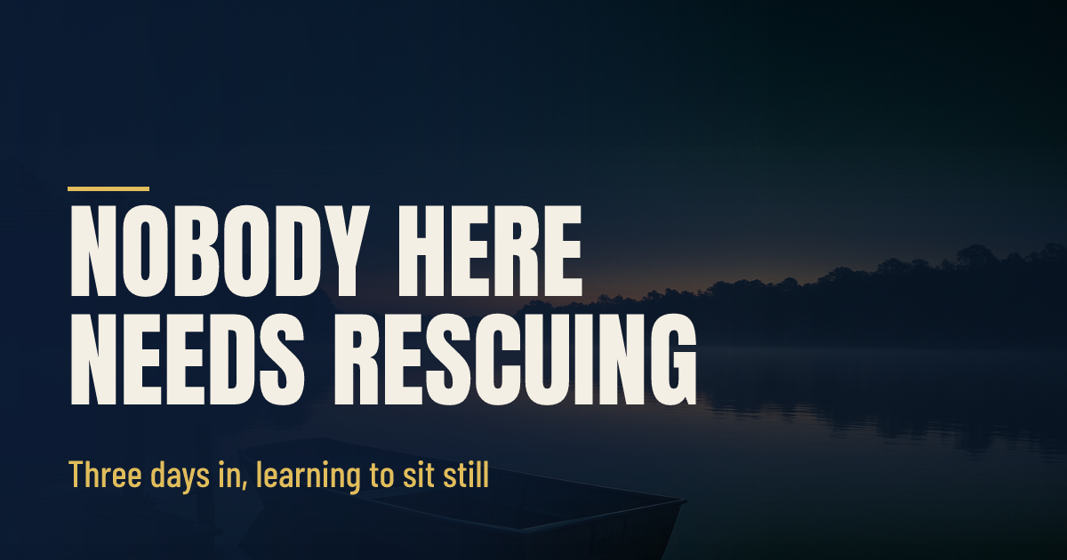 Nobody in This House Needs Rescuing social preview