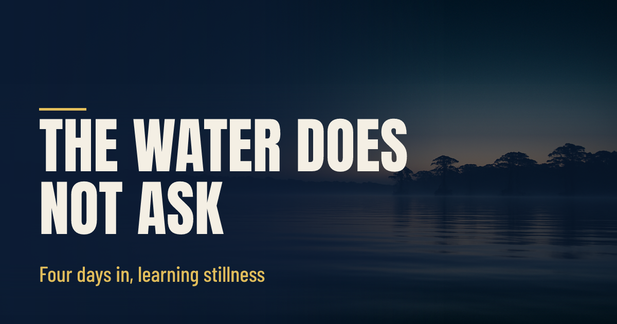 The Water Does Not Ask Me Anything social preview