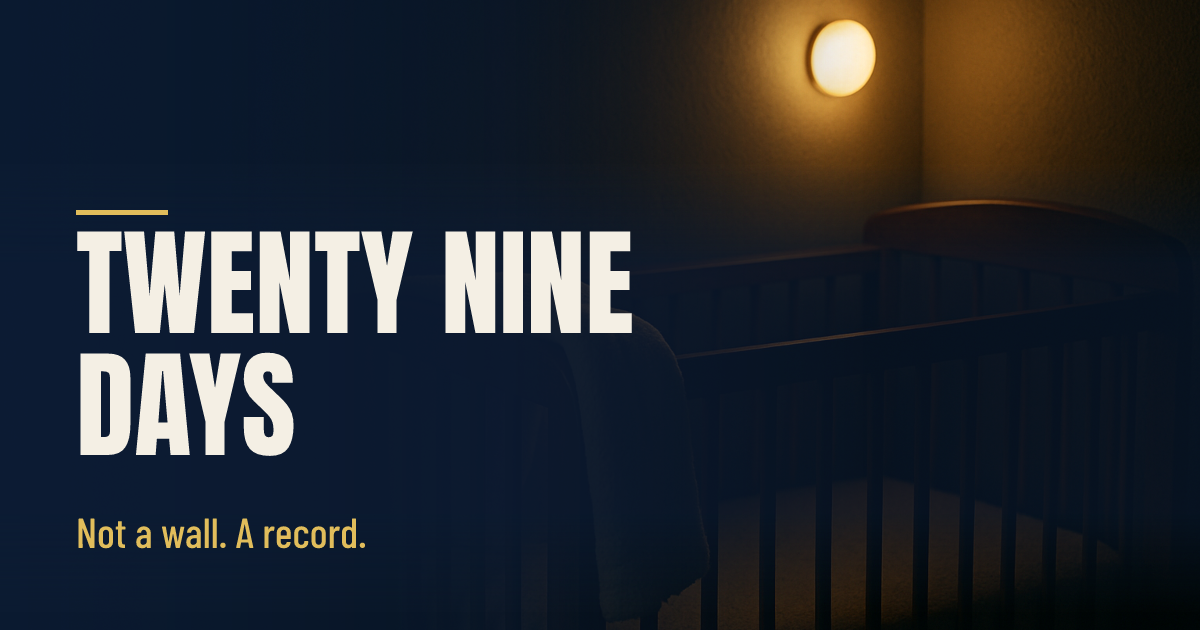 Twenty Nine Days social preview